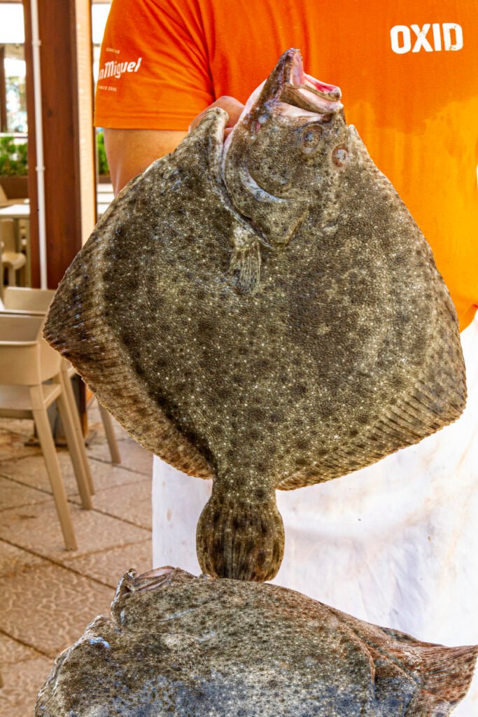 Oxid Torredembarra