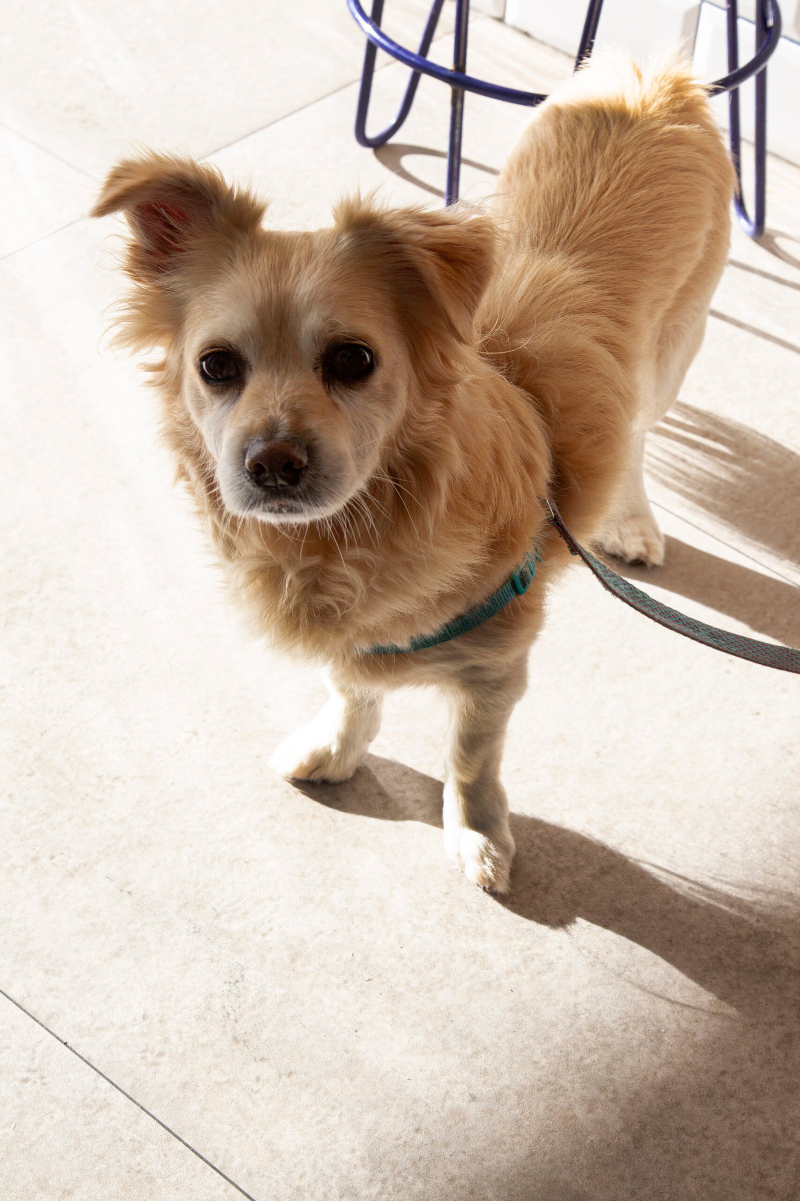 mejor restaurante Torredembarra