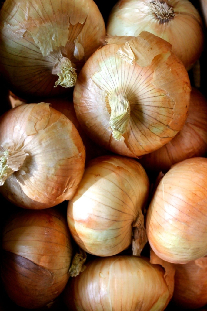 Oxid La Tertulia