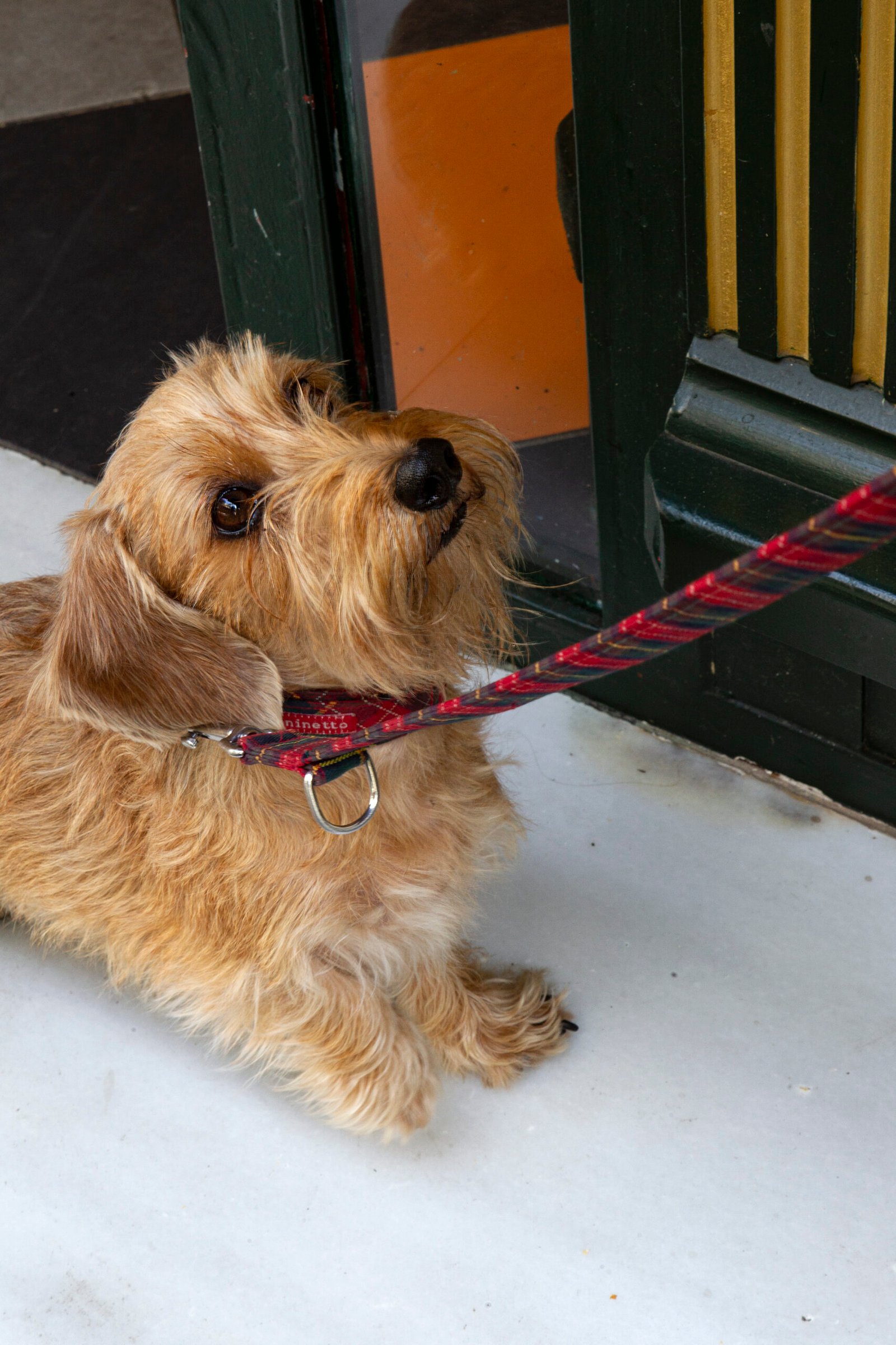 Tapas restaurant Barcelona