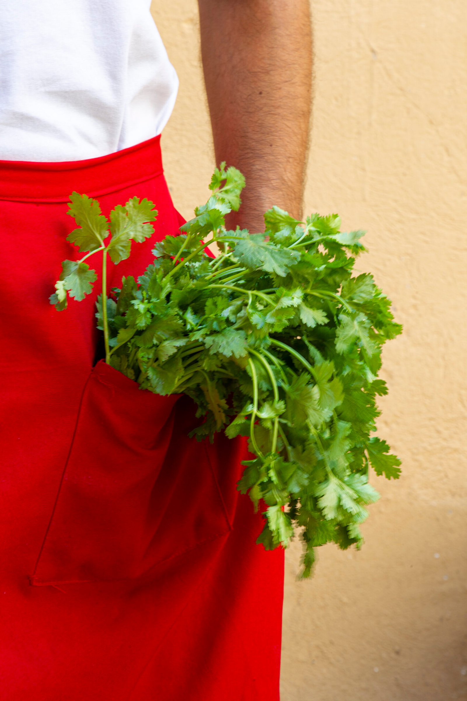 Restaurantes Galera Group