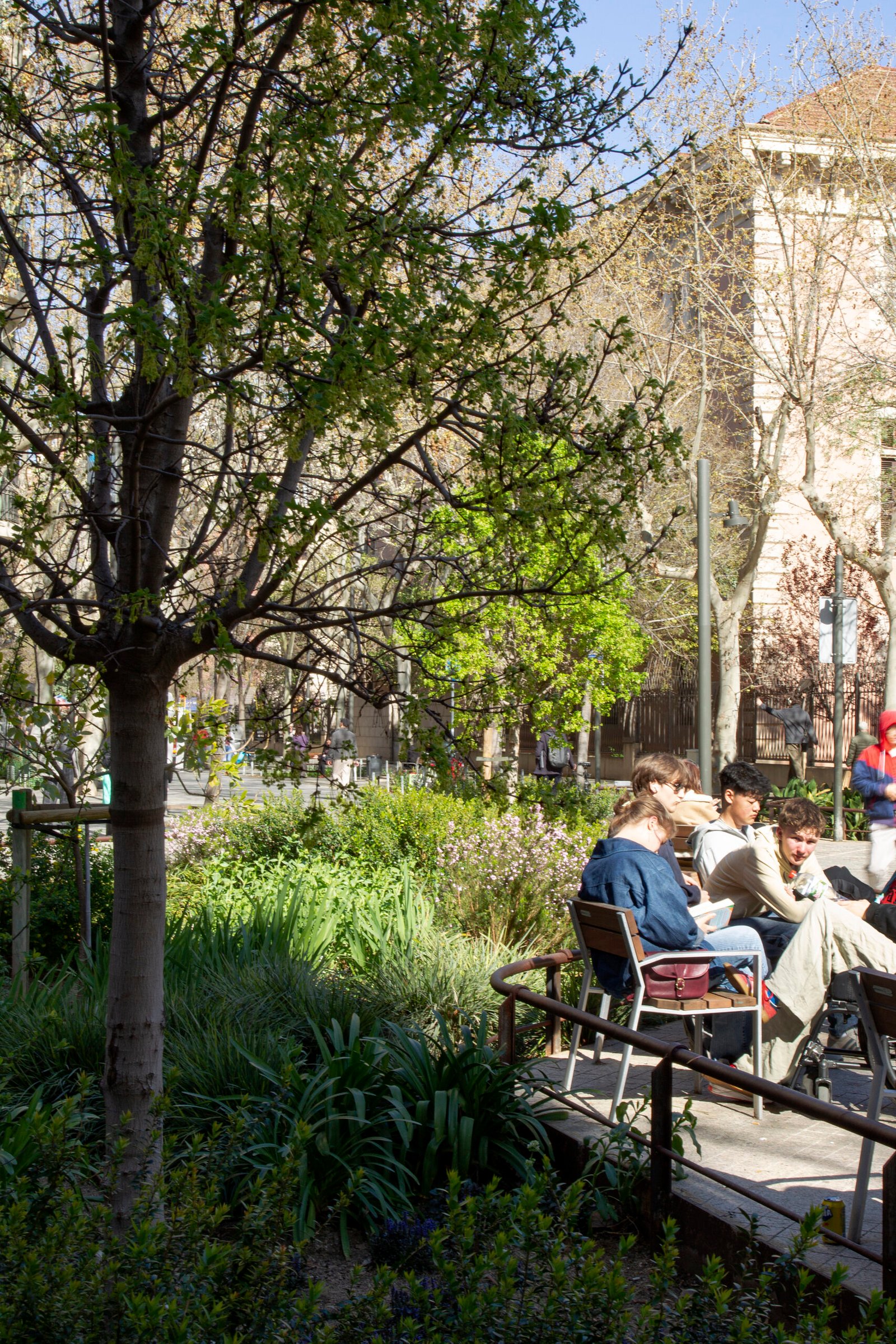 Restaurantes Galera Group