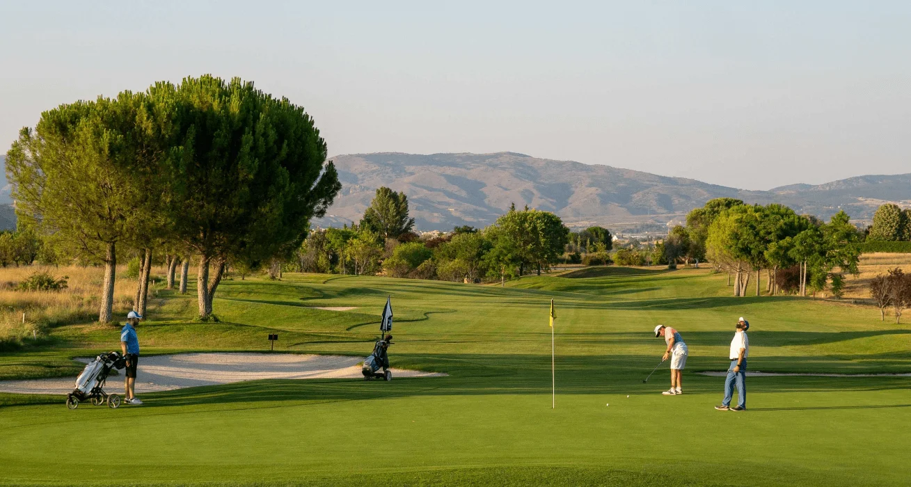 Restaurantes Galera Group