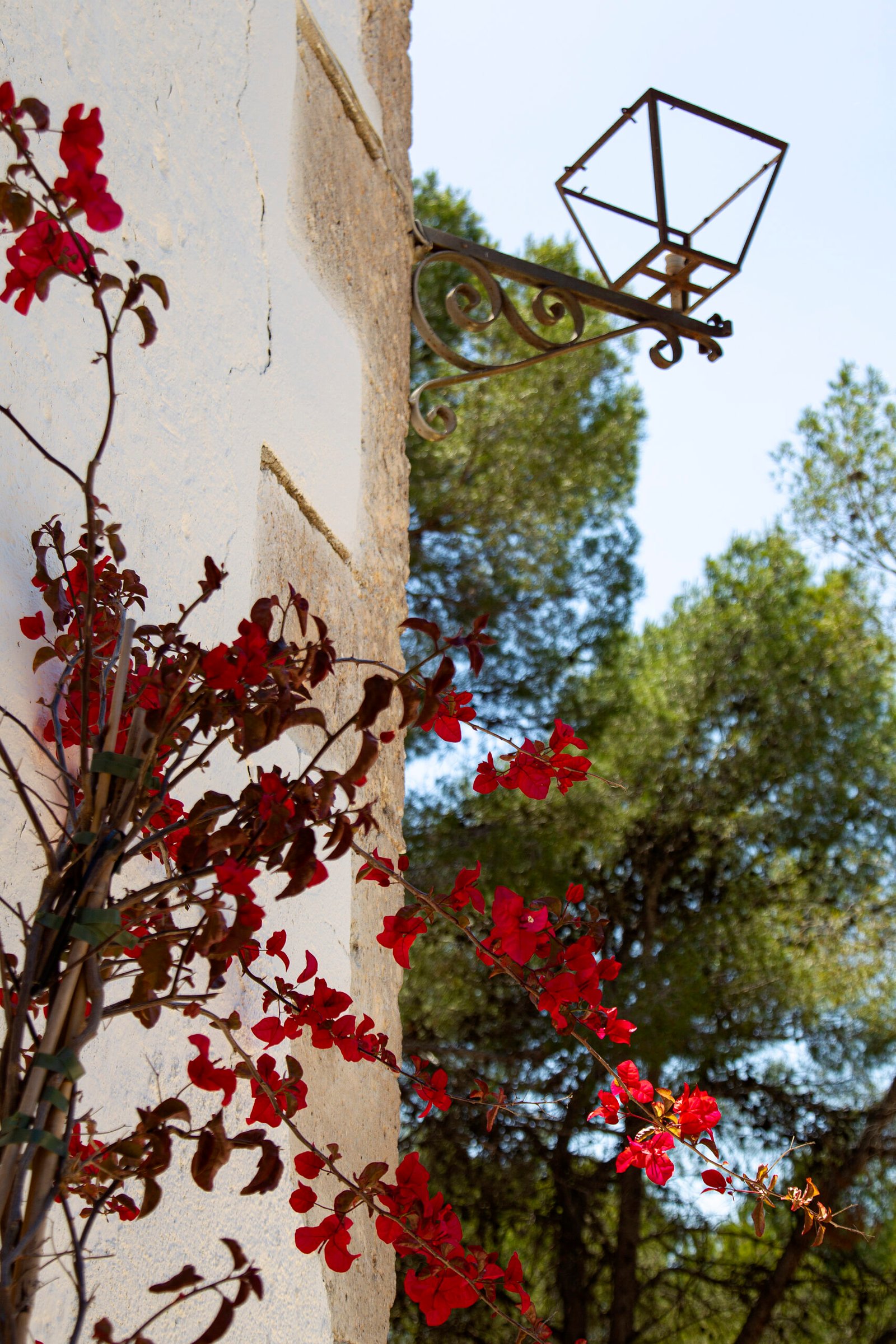 L'Ermita